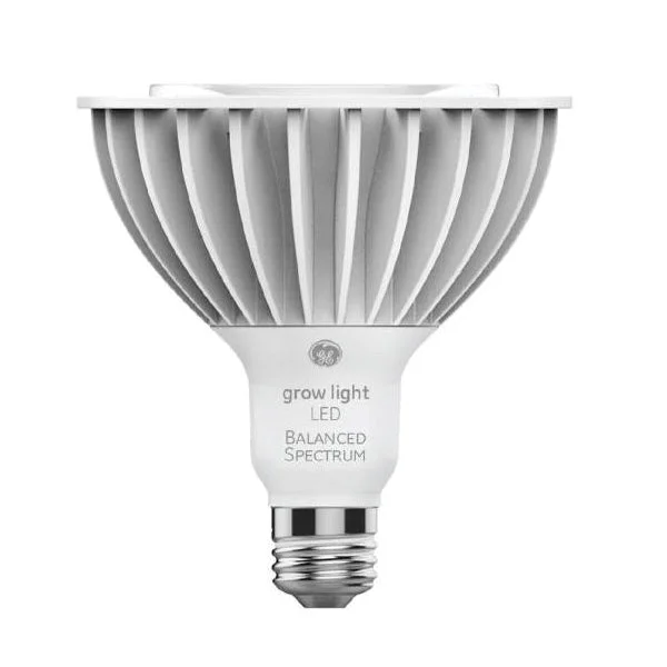 Portable water purifier pump-LED Bulb